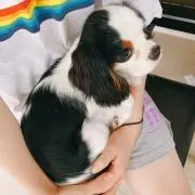 hanaの画像