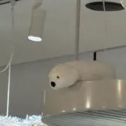 ことの画像