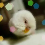 いなこの画像