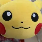 やすの画像