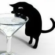 黒にゃん✿プロフ必読✿の画像