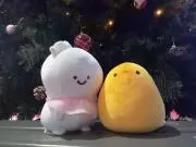 リンの画像