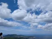 ぽんちゃん