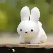 Usagi/お値下げ交渉可です★の画像