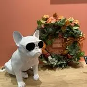 Image of ほのぴす