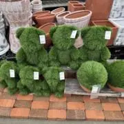 えそひぐまの画像