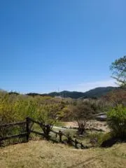 kingの画像