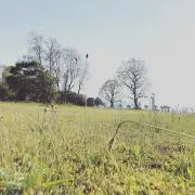 どりの画像