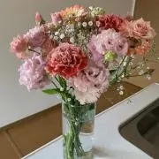 Annaの画像