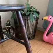kanakanaの画像
