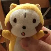 mokkie237の画像