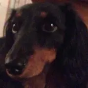 まっきー