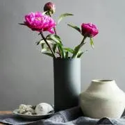 しょーPの画像
