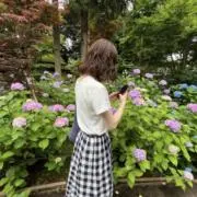 こみちの画像