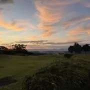 nestanの画像