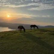 @@@の画像