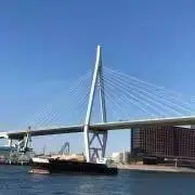 Yuの画像