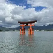 みっちーの画像