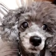 KuRyra♡の画像