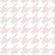 Rの画像