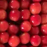 サクランボの画像