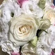 みかの画像