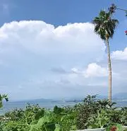 HARUSORAの画像