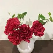 ベランダの画像