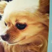 ニャーニャ☆ プロフ必読♪の画像