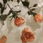 m.の画像