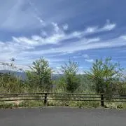 まいにゃん