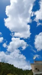 kokkoの画像