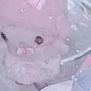 めるの画像