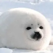 くうの画像