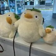 風風拳の画像