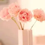 AB☆の画像