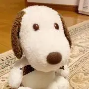 potaの画像