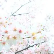 pormeの画像
