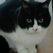 Muの画像