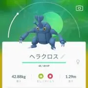 ショウゴの画像