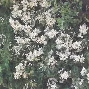 らららの画像