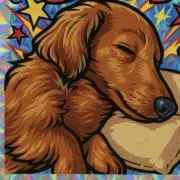 h_h_cの画像