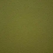 yの画像