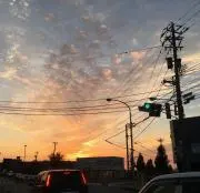 彰の画像
