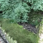 RE.lovの画像