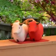 みずき
