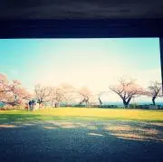 都の画像