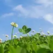 u.u