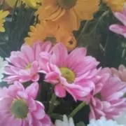 クッキー花の子の画像