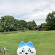 ハクの画像